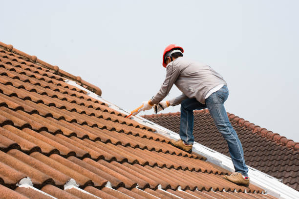 Best Cold Roofs  in Riverton, IL